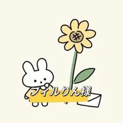 フィルりん様 リクエスト 2点 まとめ商品