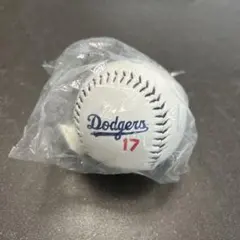 MLB New York Yankees 2016 サインボール - メルカリ
