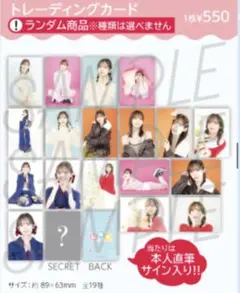 にれ祭 春だね。トレーディングカード　全19種コンプリートセット