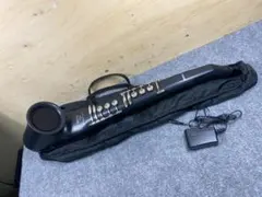 2025年最新】DH-500 CASIOの人気アイテム - メルカリ