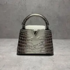 美品】ルイヴィトン カプシーヌMINI サハラ シルバー金具 - メルカリ