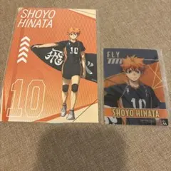 ハイキュープラザ 購入特典 クリアカード ポストカード　日向翔陽