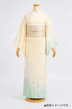 未使用品 訪問着 絽 夏 夏着物 クリーム 枝花 身丈167.0cm 正絹 - メルカリ