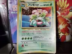 フシギバナ 旧裏