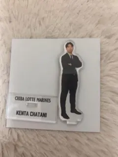 千葉ロッテマリーンズ 茶谷健太