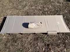 Item thumbnail for item d74b4b93-06ed-4a10-b3e7-e822c127ce97