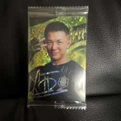 Item thumbnail for item a540ed78-a9ba-4198-a790-25bc7ccf8995