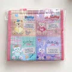 ダッフィー＆フレンズ ハートウォーミングデイズ2018スーベニア ランチケース