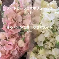 みるく大好き。様 リクエスト 2点 まとめ商品