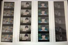 五等分の花嫁 入場者特典 生コマフィルムセット