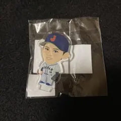 2025年最新】佐々木朗希 アクリルスタンドの人気アイテム - メルカリ