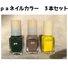 paネイル　ネイルカラー　3本セット