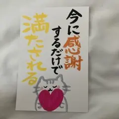 感謝のメッセージカード 猫のイラスト