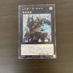 SE レイダーズ・ナイト ＝No.366