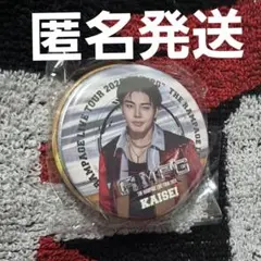 THE RAMPAGE (R)MPG ガチャ プレミアム 缶バッジ 武知海青