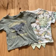 120㎝　2点　まとめ売り　恐竜　Tシャツ 半袖　ダイナソー
