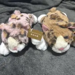 Item thumbnail for item 930adc93-550d-4aac-b847-db831332a418