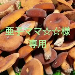 チチタケ　信州産　亜子ママ☆☆様のサムネイル