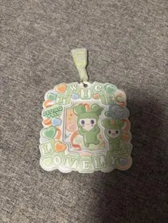 TWICE LOVELYS カードホルダー　ジョンヨン