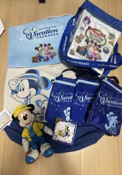 東京ディズニーリゾート Vacation Packages セット