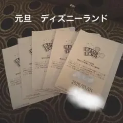 2026年最新】ハッピーエントリー通行証の人気アイテム - メルカリ