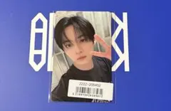 straykids KARMAリノトレカ