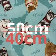 【訳あり】【匿名配送】オックス生地　犬　わんちゃん　柴犬　赤いバンダナ　50cm