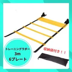 トレーニングラダー