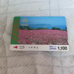 シリアル番号入り】富山地方鉄道500枚限定 おおかみこどもの雨と雪IC