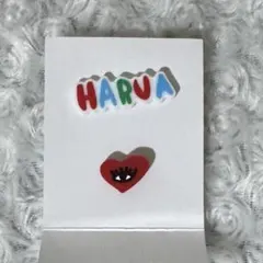 &TEAM HARUA ハルア デコパーツ