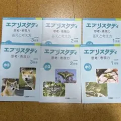 Z会 エブリスタディ 思考.表現力 小4 解答付き - メルカリ