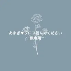あまぎ▼プロフ読んでください様専用ページ