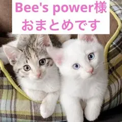 Bee's power(ビーゲンキ)様 リクエスト 3点 まとめ商品