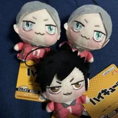 新品 ハイキュー ちょぴぬいぷち 灰羽リエーフ 黒尾鉄朗 3点