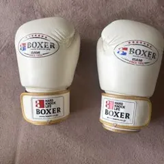 ISAMI BOXER ボクシンググローブ 10oz ホワイト 本革のサムネイル