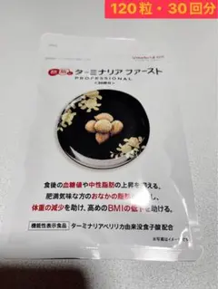 Vitabrid ターミナリアファースト プロフェッショナル/120粒・30回分のサムネイル