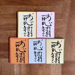 サンキューカードꕤサンクスカードꕤ感謝カード　100枚
