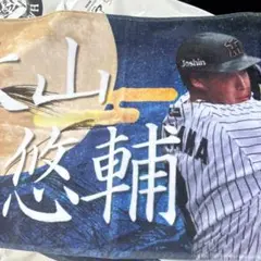 阪神タイガース　シークレット　大山悠輔