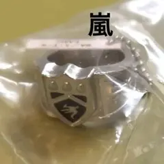 家庭教師ヒットマンREBORN! 　ボンゴレリング　嵐　獄寺隼人