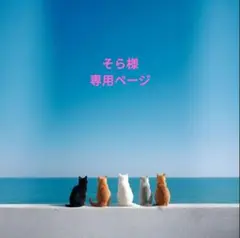 専用ページです