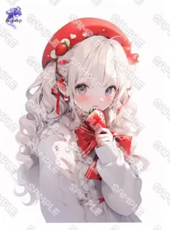 kokoshop オリジナル　人物ステッカーNo.670