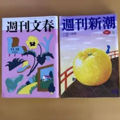 週刊文春2025.11.13 3337号 週刊新潮 43号 2冊セット