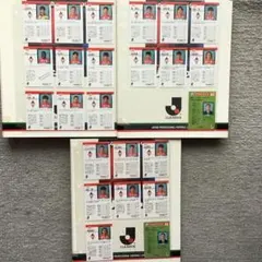 エポック社95．96年Jリーグ浦和レッドダイヤモンドカードコレクション