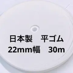 Item thumbnail for item b42cca31-16fc-41d0-bf05-1c12be08f2db