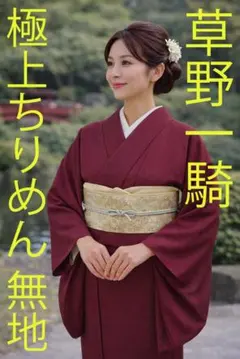6116未使用に近い美品 草野一騎 作 秀悦なる高級感 単衣 紋付色無地 