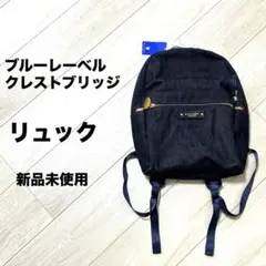 ７月中削除予定【新品未使用】ブルーレーベル　リュック　デニム生地　インディゴ染のサムネイル