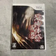 恐怖体感 呪怨