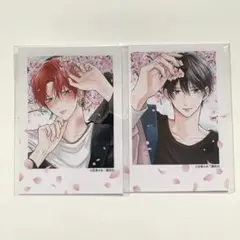 たまらないのは恋なのか TSUTAYA フェア チェキ風カード 12枚セット TSUTAYA限定描き下ろし特典付き！「たまらないのは恋なのか