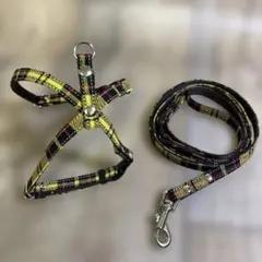 Item thumbnail for item 5aa42faa-503a-4fc2-8d05-8d720fd0f3ec