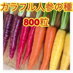 happy☆様 リクエスト 3点 まとめ商品